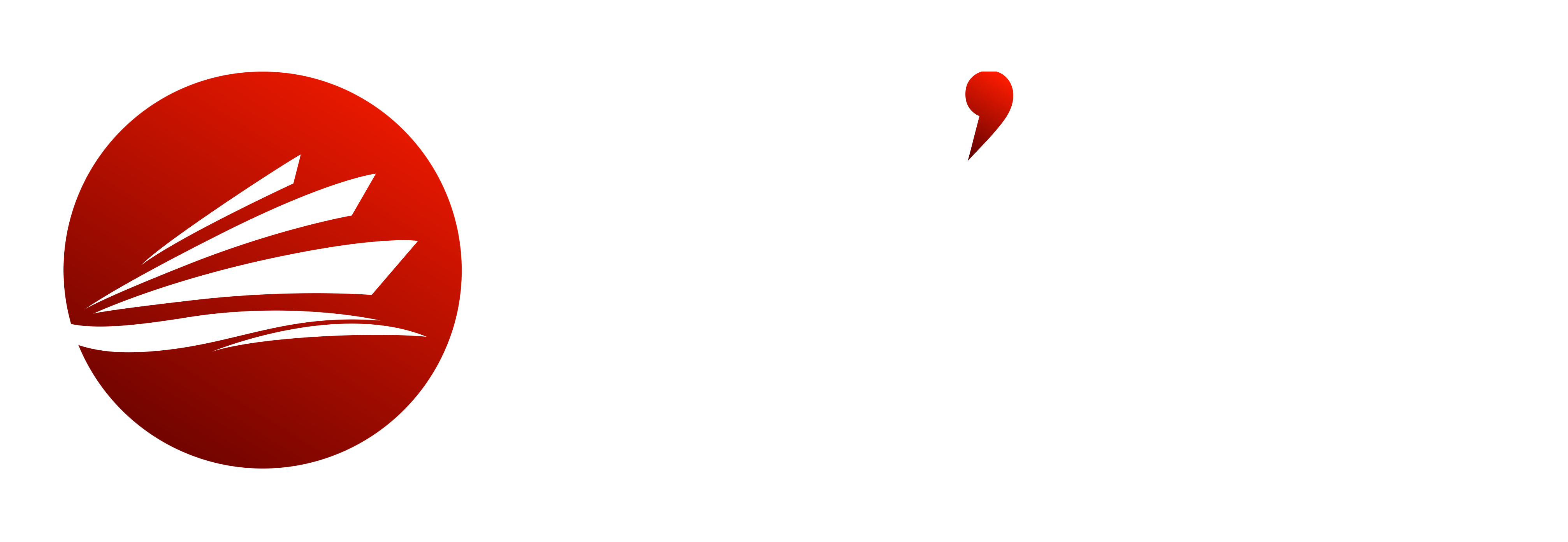 SAEE Logistics Logo